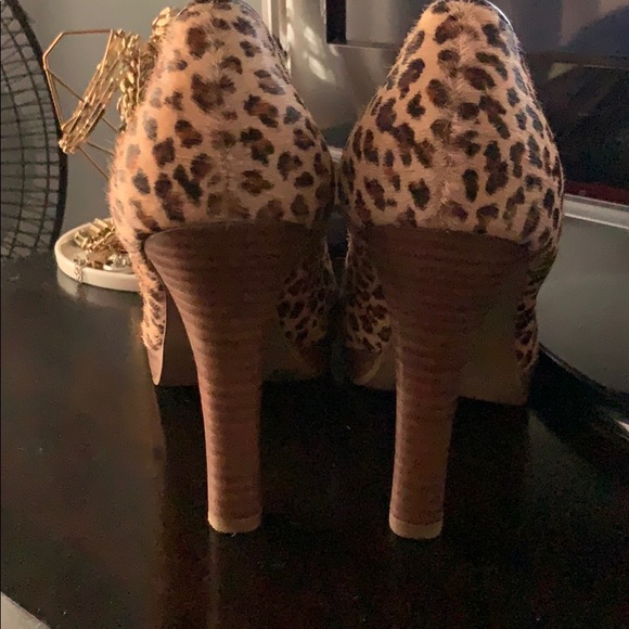 pumped - Picture 5 of 5